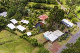 Blue Morpho Lodge