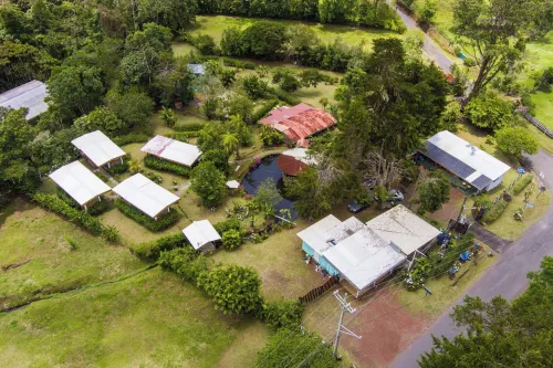 Blue Morpho Lodge Hotel a Bajos del Toro