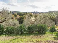 Apartment in Umbria near Vineyards - Homestays
