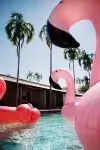 The Continental Hotel - Beach