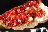 "L'Emeraude", 4 rooms, in the lush greenery of the Vosges mountains Hotel a Sainte-Marie-aux-Mines