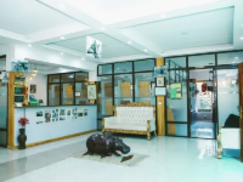 奈瓦沙埃爾薩美別墅 奈瓦沙酒店