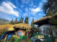 Plum Homestay - Hostel