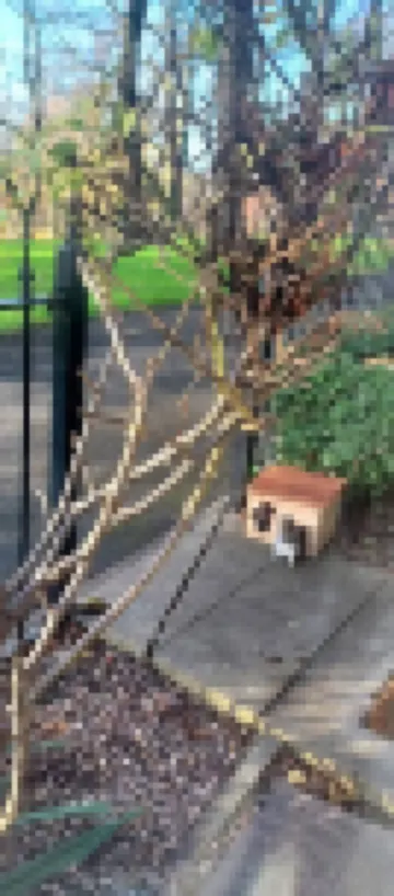 더 파크뷰 하우스, 웨이크필드