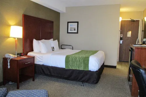 Comfort Inn Dartmouth - Motel