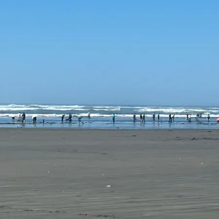 Beach House Getaway!!                                       Clam Dig Dates!!
