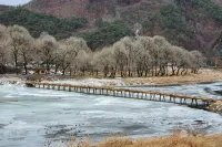Yeongwol Green Tree Pension
