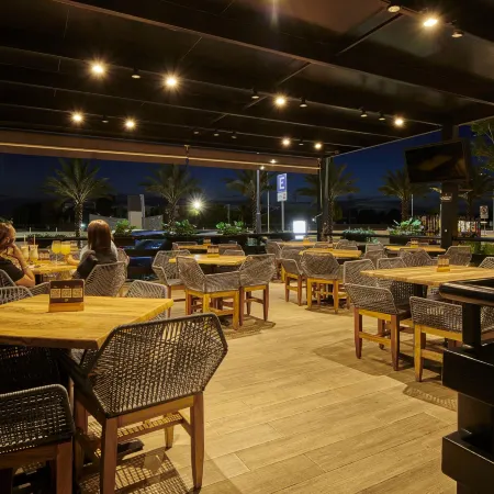 Ibis Torreón
