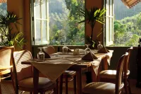 Lost Horizon Resort - Khao Sok - breakfast