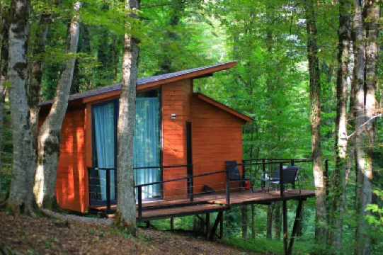 エコ ビレッジ イン ザ フォレスト のホテル