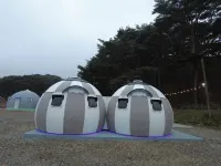 Taean (Anmyeondo) Tourist Farm Glamping & Auto Camping - 2-Star