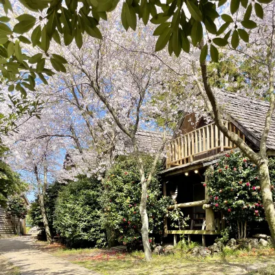 Jeju Log Park Hotels near 9.81 Park Jeju