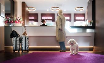 Hotel Vis à vis - Housity