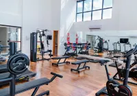 STAY Cosmopolitan - palestra
