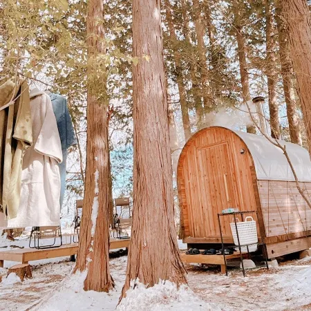 Retama Camp Forest