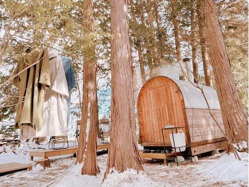 Retama Camp Forest