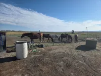 HN-RANCH
