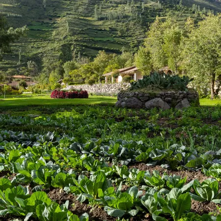 Inti Punku Valle Sagrado Hotel - Signature Collection
