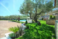 Kassandra Villas - Villas