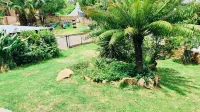 Cozy & Peaceful Home Perfect for Work or Relaxation - Homestays