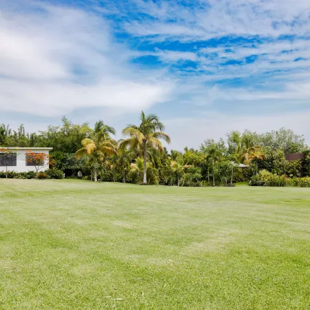 Soul Spring Sanctuary Cuernavaca