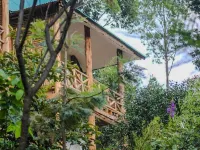 Bwindi Neckview Lodge Hotels in Kinkiizi