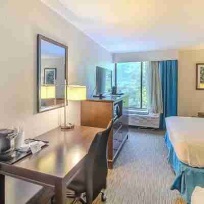 Quality Inn & Suites Rooms