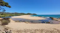 Charming house right on the most beautiful beach in Corsica! - de playa