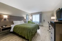 Quality Inn St Augustine Outlet Mall - Pet friendly