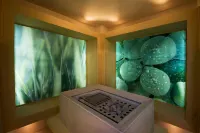 Sheraton Dammam Hotel & Convention Centre - Spa