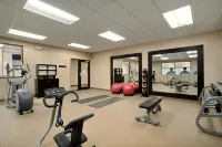 Homewood Suites by Hilton Rochester - Victor - Gym