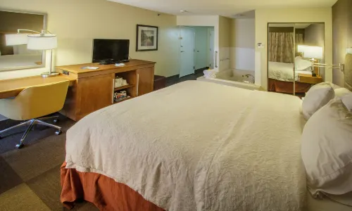 Hampton Inn South Haven - 2-Star