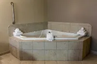 Hampton Inn Hadley-Amherst Area - Hot Tub