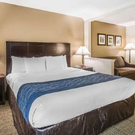 Comfort Inn & Suites DeLand - Near University