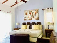 Deluxe Jacuzzi Balcony Room with Swimming Pool Air Conditioning and Parking