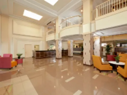 ฮิลตัน แกรนด์ เวเคชั่นส์ คลับ ฟลามิงโก ลาสเวกัส โรงแรมในพาราไดซ์