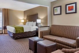 Comfort Inn Wings Stadium