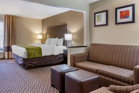 Comfort Inn Wings Stadium