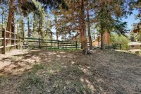 Three Bears Resort Cabin at Big Bear Lake - Gym