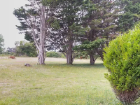 Les Mielles