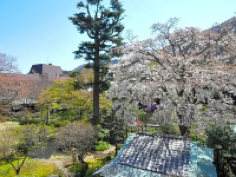 Yoshiike Ryokan โรงแรมในฮาโกเน่