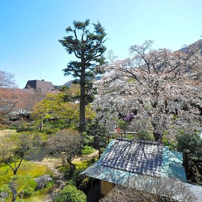 庭 箱根湯本温泉 吉池旅館の写真