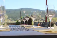 IL Colombaio Winery & Rooms
