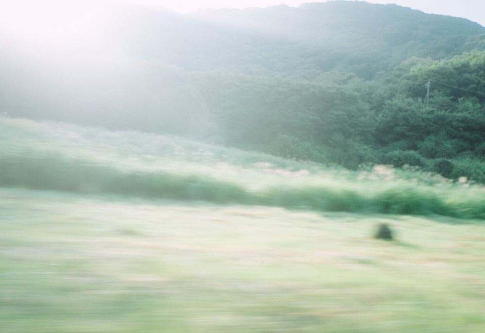 히카리 노 이에 조식 이미지