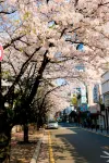 ロッテホテル 釜山