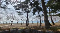 Namhae Kkontigo Pension 1