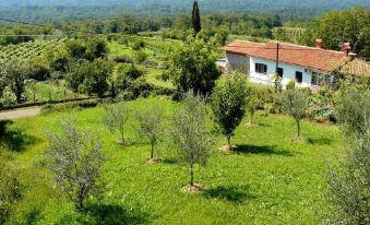 B&B Francinovi - Housity