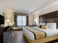 Best Western Plus Rockwall Inn Suites Hotels in Rockwall