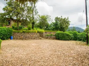 B&B Boutique a Uganda: le opzioni più popolari