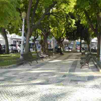 Downtown - Central - 6 Pax - Faro Others
